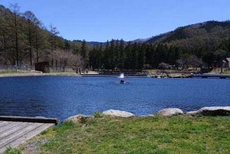 サクラマスを釣りに行ったんだが ～平谷湖フィッシングスポット～